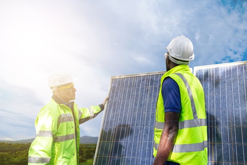Future of Green Skills in Sussex