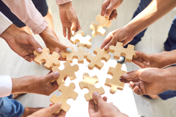 Could you help shape ECA’s future?